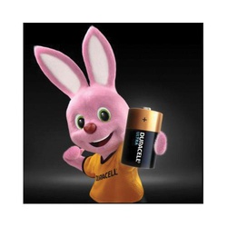 DURACELL_DURACELLD_1.jpg