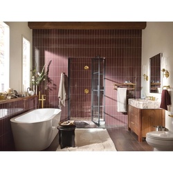 MOEN_YB1701BG_1.jpg