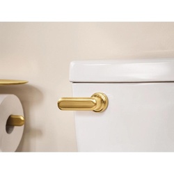 MOEN_YB1701BG_2.jpg