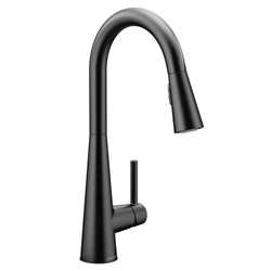 MOEN03137