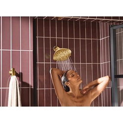 Moen_YB1703BG_2.jpg