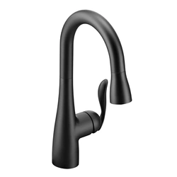MOEN01603