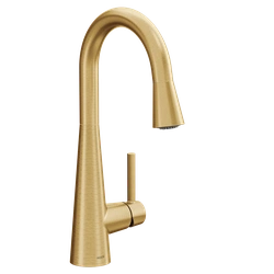 MOEN06299